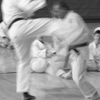 Shorinji Ryu Karate Do